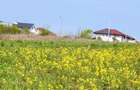 Paradisul Verde-Corbeanca,intravilan,10300mp,deschidere lac-120m,view deosebit - 5