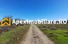 Corbeanca - Tamasi | Teren 1225mp, deschidere 44ml | Utilitati la 50m - 4