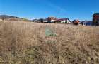 Teren intravilan de vanzare, Sanpetru, 700 mp. - 7