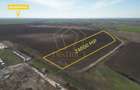 Teren extravilan in zona industriala dezvoltata | Dumbravita - Giarmata - 2
