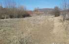 Teren intravilan in suprafata de 1000 mp, Ciurila - 7