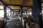 Berceni, hale dimensiuni 1800mp, 2750mp si 2900, acces facil - 8