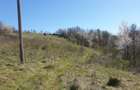 Teren cu panoramă fabuloasă, 10.059 mp, Roșia. 19.000 EUR. Comision 0 - 5