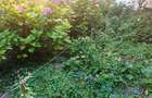 Casa 2 camere singur in curte zona Centrul Istoric - 12
