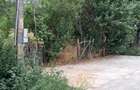 Teren Intravilan  in Tismana (Comuna Devesel), la 200 ml de Dunare - 4