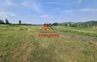 Teren intravilan in Campina, 7500mp--35e - 9