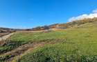 Teren intravilan 2500 mp \Sibiu \Sura Mare - 9