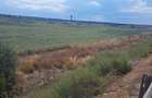 TEREN INTRAVILAN 20 HA ÎN LAZU – ZONĂ INDUSTRIALĂ, ÎN PROXIMITATEA A4 | DESCHIDE