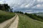 Teren inconjurat de natura de vanzare in Pestera - 6