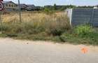 Bragadiru, loturi 625mp, zona vile noi, strada Salciei-Dumbravei - 6