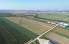 Teren intravilan de vanzare, 66400 mp, langa Oradea, Bihor - 12
