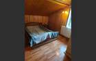 Vila superba 7 camere, Provita de Jos, 22.000 mp teren - 21