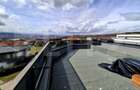 Duplex cu 4 camere, 178 mp utili, cu garaj, panoramă superbă, zona Voronet - 2