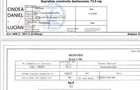 Apartamente de vânzare în Turnisor-Ansamblu rezidențial P+1+M - 6