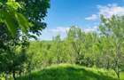 Teren intravilan 4.384 mp | 65 ml deschidere | curent + apă |  - 1