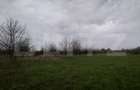 Teren intravilan, 3515 mp, zona Crevedia - 11