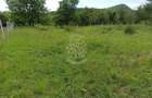 Teren 1000mp+cota drum-ideal cabana/investitie-panorama-Valea Rusului - 1