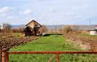 Ilia, proprietate deosebita - 16