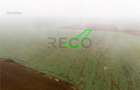RECO Teren extravilan 5800 mp Livada de Bihor - 5