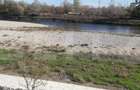Teren 7240mp, zona Prelungirea Panduri - 10