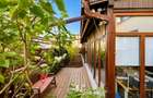 4 camere cu grădină proprie și intrare separată | Parcare subterană | Bragadiru - 1