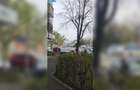 Spatiu Comercial Zona Trafic Intens - 1