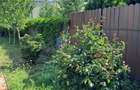 Dumbravita-apartament in triplex-209.000 € - 5