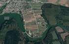 Intravilan, Branesti, 500mp, str. Violetelor, Lacul Pasarea, Padurea Cucu - 4