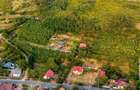 Teren pe deal, 1.150 mp, în Miniș, front 26 m, Drumul Vinului - 5
