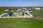 Black Angus Farm with authorized Slaughterhouse - 10
