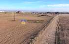 Teren investiție intravilan 3600 mp – Dumbrava Roșie - 6