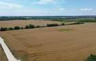 Ciolpani-Ilfov, Teren intravilan-20 ha - 9
