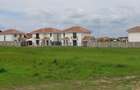 Dumbravita teren 699 mp 135000 euro - 1