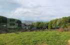 Teren extravilan de vanzare, 740 mp, zona Taberei - 2
