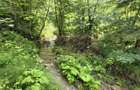 Vila din padure in Valea Doftanei - 46