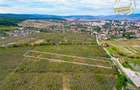 Teren extravilan, 6.510mp, Simeria, Sfantu Gheorghe - 2