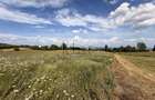 Teren 2900 m2 in Aiton ideal pentru investitie - 1
