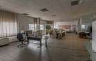 Doua hale / spatiu industrial + birouri 5000 mp / Sector 4 - 9