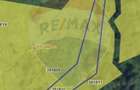 Teren 1,450mp Cluj-Napoca / Strada Campului - 1