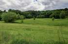 Teren la pădure, panoramic dealuri si păduri, curent si asfalt - 11