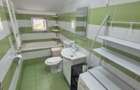 2 Cam-1 Min Spitalul Judetean-48MP--Mobilat-Centrala--77.000 Euro! Negociabil - 13