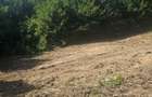 Teren Valea Doftanei,  zona Pe Vale - Baraj Paltinu - 8