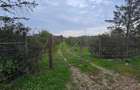 LIVADA  DE VANZARE FOCSANI-DUMBRAVITA  1,8  HA - 8