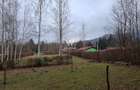 Teren intravilan, livada, langa padure,  pe Valea Avrigului - Sibiu - 5