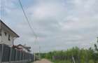 Valea Ursului aproape de padure 2 LOTURI de 600mp cu utilitati - 2
