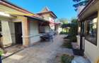 CASA 6 CAMERE CHITILA ,TEREN 590 MP, PANOURI 12 KW ,GARAJ - 1