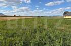 Teren intravilan, Puz aprobat parcele intre 500 - 700 mp