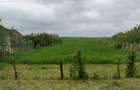Teren inravilan Săcădat, județul Bihor - 2