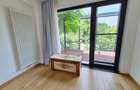 Inchiriere vila moderna Iancu Nicolae - 31