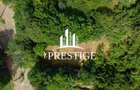 TEREN INTRAVILAN 1013 MP | UTILITĂȚI LA STRADĂ | ZONA PIATRA BROAȘTEI - 4